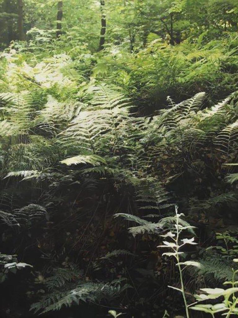 Kunstwerk von Stephan Kaluza im Hotel THE WELLEM Düsseldorf